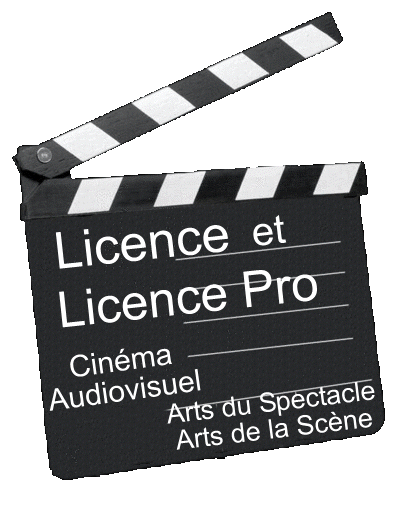 Licence et Licence Pro